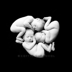 triplet_newborn_photographer_1