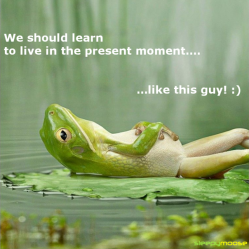 learn-to-live-in-the-present-moment